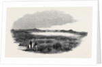 Site of a Proposed Camp at Woolmer Forest by Anonymous