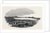 Site of a Proposed Camp at Woolmer Forest by Anonymous