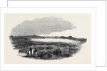 Site of a Proposed Camp at Woolmer Forest by Anonymous