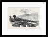 Bath and West of England Agricultural Show at Barnstaple by Anonymous