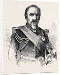 General Camou Commander of the 2nd Division of the Imperial Guard by Anonymous