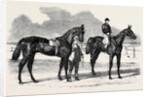 The Winners of the Derby and the Oaks, Musjid the Winner of the Derby Summerside the Winner of the Oaks by Anonymous
