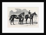 The Winners of the Derby and the Oaks, Musjid the Winner of the Derby Summerside the Winner of the Oaks by Anonymous