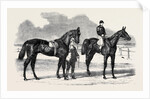 The Winners of the Derby and the Oaks, Musjid the Winner of the Derby Summerside the Winner of the Oaks by Anonymous