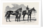 The Winners of the Derby and the Oaks, Musjid the Winner of the Derby Summerside the Winner of the Oaks by Anonymous