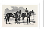 The Winners of the Derby and the Oaks, Musjid the Winner of the Derby Summerside the Winner of the Oaks by Anonymous