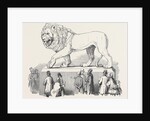 Colossal Bavarian Lion, the Great Exhibition by Anonymous