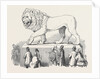 Colossal Bavarian Lion, the Great Exhibition by Anonymous