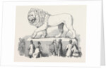 Colossal Bavarian Lion, the Great Exhibition by Anonymous