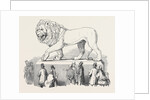 Colossal Bavarian Lion, the Great Exhibition by Anonymous