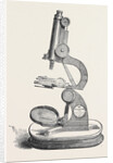 Pillischer's Microscope, the Great Exhibition by Anonymous