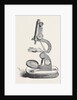 Pillischer's Microscope, the Great Exhibition by Anonymous
