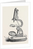 Pillischer's Microscope, the Great Exhibition by Anonymous