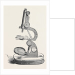Pillischer's Microscope, the Great Exhibition by Anonymous