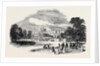 Shrubland Park, Near Ipswich, the Seat of Sir W.F. Middleton, Bart., Arrival of Prince Albert, Meeting of the British Association at Ipswich by Anonymous