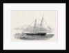 The United States Clipper Yacht America, of the New York Yacht Club by Anonymous