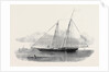 The United States Clipper Yacht America, of the New York Yacht Club by Anonymous