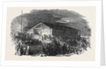 Lynch Law in California, Scene of the First Execution in San Francisco, on June 10 by Anonymous