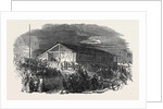 Lynch Law in California, Scene of the First Execution in San Francisco, on June 10 by Anonymous