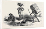 Native Women and Native Porter by Anonymous