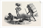 Native Women and Native Porter by Anonymous