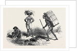 Native Women and Native Porter by Anonymous