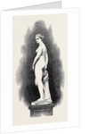 The Greek Slave by Anonymous