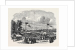 The Great Exhibition Fetes at Paris, Grand Review in the Champ De Mars by Anonymous