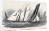 The Royal Victoria Yacht Squadron Regatta, the Fernande and Anaconda Passing Ryde by Anonymous