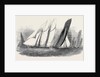 The Royal Victoria Yacht Squadron Regatta, the Fernande and Anaconda Passing Ryde by Anonymous