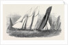 The Royal Victoria Yacht Squadron Regatta, the Fernande and Anaconda Passing Ryde by Anonymous