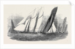The Royal Victoria Yacht Squadron Regatta, the Fernande and Anaconda Passing Ryde by Anonymous