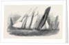 The Royal Victoria Yacht Squadron Regatta, the Fernande and Anaconda Passing Ryde by Anonymous