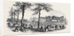 Peace, Temperance, and Bond of Universal Brotherhood Festival, at Hartwell Park, Bucks. by Anonymous
