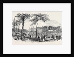 Peace, Temperance, and Bond of Universal Brotherhood Festival, at Hartwell Park, Bucks. by Anonymous