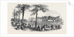 Peace, Temperance, and Bond of Universal Brotherhood Festival, at Hartwell Park, Bucks. by Anonymous