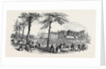 Peace, Temperance, and Bond of Universal Brotherhood Festival, at Hartwell Park, Bucks. by Anonymous
