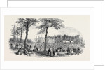 Peace, Temperance, and Bond of Universal Brotherhood Festival, at Hartwell Park, Bucks. by Anonymous
