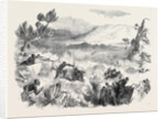 The War in Kaffraria, Kaffirs Attacking Infantry in Keiskamma Gorge by Anonymous