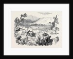The War in Kaffraria, Kaffirs Attacking Infantry in Keiskamma Gorge by Anonymous
