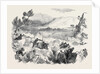 The War in Kaffraria, Kaffirs Attacking Infantry in Keiskamma Gorge by Anonymous