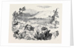The War in Kaffraria, Kaffirs Attacking Infantry in Keiskamma Gorge by Anonymous