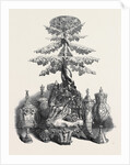 Group of Silver, from Russia, the Great Exhibition by Anonymous
