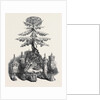 Group of Silver, from Russia, the Great Exhibition by Anonymous