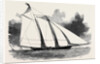 The Schooner Yacht America by Anonymous
