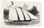 The Schooner Yacht America by Anonymous