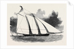 The Schooner Yacht America by Anonymous