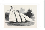 The Schooner Yacht America by Anonymous