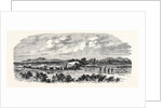 Travelling in Africa: Two Days Without Water 1869 by Anonymous