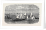 Fetes of the Viceroy of Egypt: Regatta at Ismailia on Lake Timsah 1869 by Anonymous